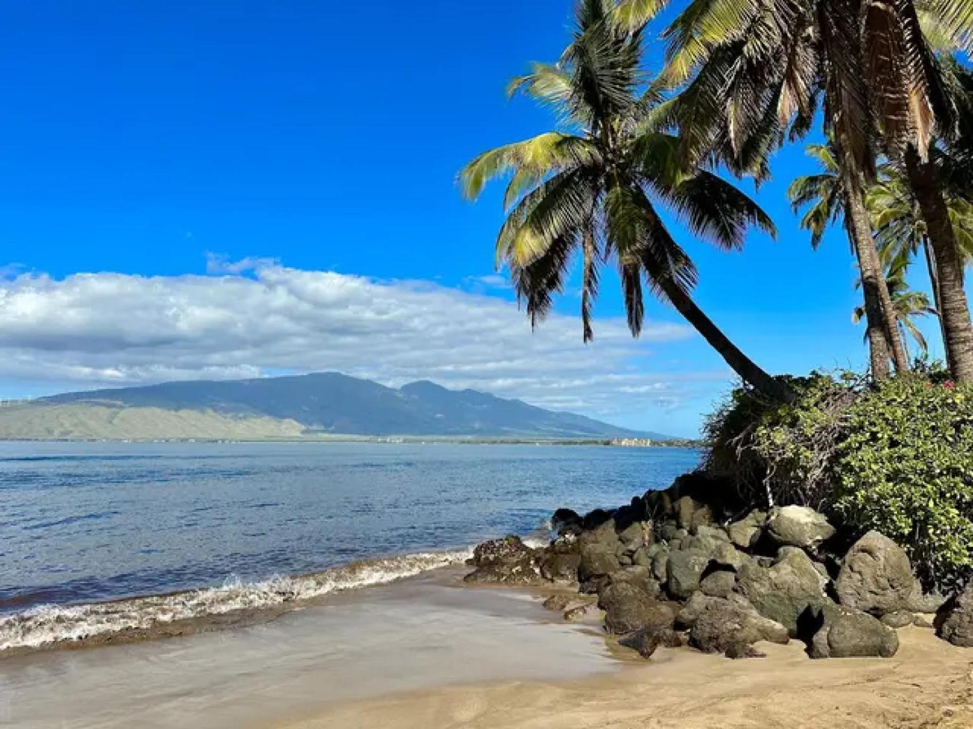 3Mins Walk To Beach! Laundry, Pool, Hot Tub & More Kihei Buitenkant foto